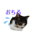 ムンとお花ちゃん（個別スタンプ：17）