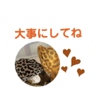 ムンとお花ちゃん（個別スタンプ：18）