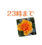 ムンとお花ちゃん（個別スタンプ：23）