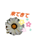 ムンとお花ちゃん（個別スタンプ：26）