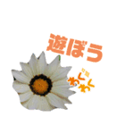 ムンとお花ちゃん（個別スタンプ：27）