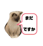 ムンとお花ちゃん（個別スタンプ：31）
