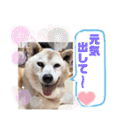 レオとの幸せな時間 LOVE（個別スタンプ：2）