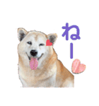 レオとの幸せな時間 LOVE（個別スタンプ：3）