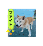 レオとの幸せな時間 LOVE（個別スタンプ：4）