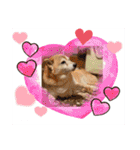 レオとの幸せな時間 LOVE（個別スタンプ：7）