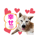 レオとの幸せな時間 LOVE（個別スタンプ：9）