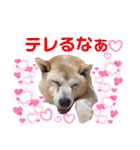 レオとの幸せな時間 LOVE（個別スタンプ：10）