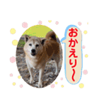 レオとの幸せな時間 LOVE（個別スタンプ：13）