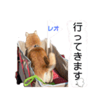 レオとの幸せな時間 LOVE（個別スタンプ：15）