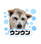 レオとの幸せな時間 LOVE（個別スタンプ：18）