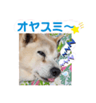 レオとの幸せな時間 LOVE（個別スタンプ：22）