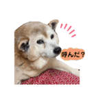 レオとの幸せな時間 LOVE（個別スタンプ：24）