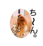 レオとの幸せな時間 LOVE（個別スタンプ：26）