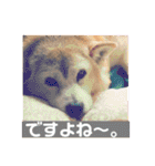 レオとの幸せな時間 LOVE（個別スタンプ：28）