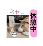 レオとの幸せな時間 LOVE（個別スタンプ：29）