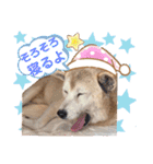 レオとの幸せな時間 LOVE（個別スタンプ：31）