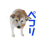 レオとの幸せな時間 LOVE（個別スタンプ：32）