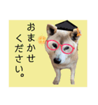 レオとの幸せな時間 LOVE（個別スタンプ：39）