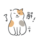 ねこ丸ととら吉（個別スタンプ：12）