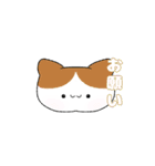 ゆるゆるねこ、オマケ付（個別スタンプ：11）