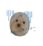 マール 2022（個別スタンプ：3）