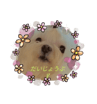 マール 2022（個別スタンプ：8）