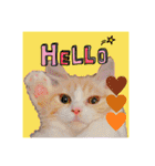 毛玉猫シュシュ--2--（個別スタンプ：1）