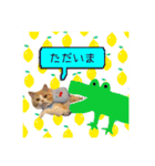 毛玉猫シュシュ--2--（個別スタンプ：13）