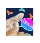 毛玉猫シュシュ--2--（個別スタンプ：38）