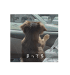 むぎ① むぎ（個別スタンプ：1）