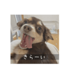 むぎ① むぎ（個別スタンプ：23）