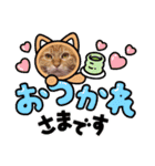 虎煌＆きの子（個別スタンプ：4）