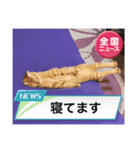 虎煌＆きの子（個別スタンプ：8）