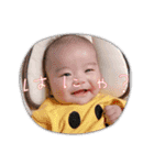 虎煌＆きの子（個別スタンプ：11）
