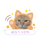 虎煌＆きの子（個別スタンプ：14）