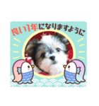 ★ファミリー専用★（個別スタンプ：12）