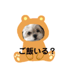 ★ファミリー専用★（個別スタンプ：16）