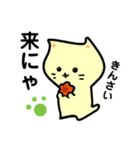 ひろしまねこ（個別スタンプ：1）