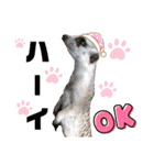 ショウガラゴと可愛い動物達/Animal①（個別スタンプ：10）
