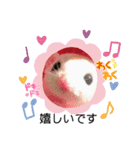ショウガラゴと可愛い動物達/Animal①（個別スタンプ：16）
