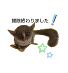 ショウガラゴと可愛い動物達/Animal①（個別スタンプ：19）