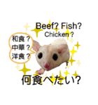 ショウガラゴと可愛い動物達/Animal①（個別スタンプ：25）