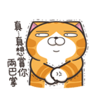 ランラン猫 37 (台湾版)（個別スタンプ：7）
