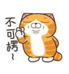 ランラン猫 37 (台湾版)（個別スタンプ：8）
