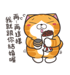 ランラン猫 37 (台湾版)（個別スタンプ：11）