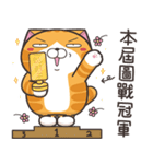 ランラン猫 37 (台湾版)（個別スタンプ：17）