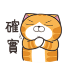 ランラン猫 37 (台湾版)（個別スタンプ：19）
