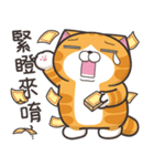 ランラン猫 37 (台湾版)（個別スタンプ：20）