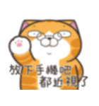 ランラン猫 37 (台湾版)（個別スタンプ：26）